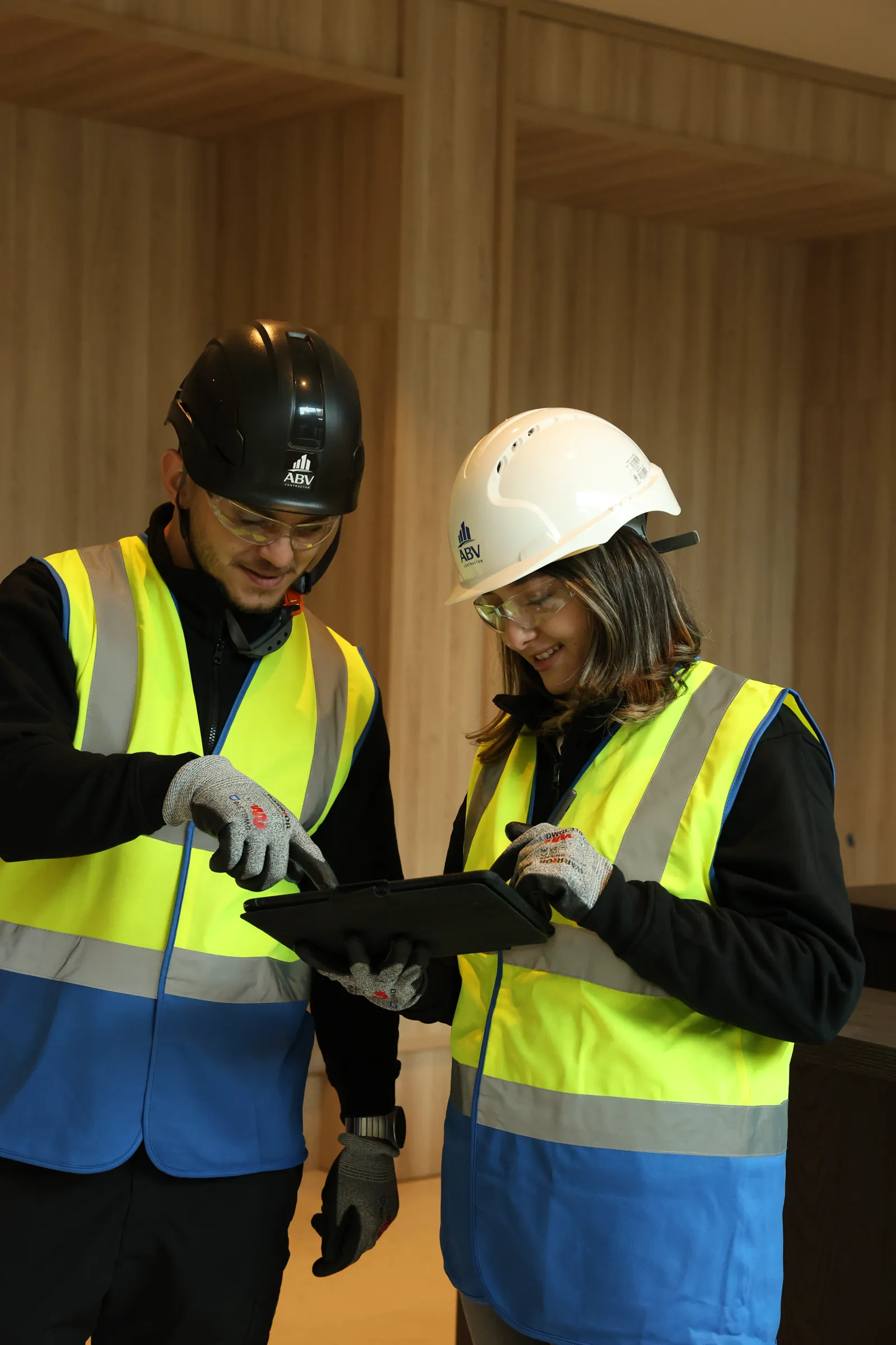 ABV Power project update